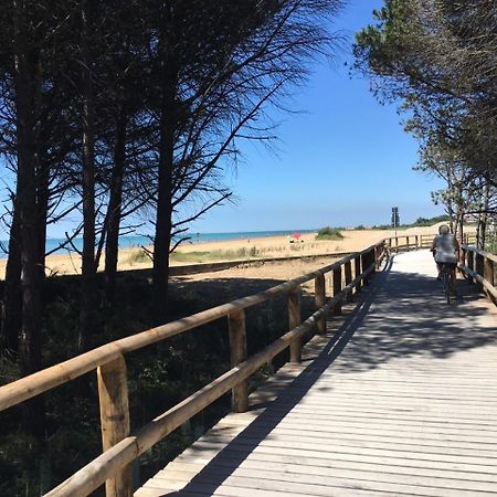 Villaggio Olimpia Bibione Buitenkant foto